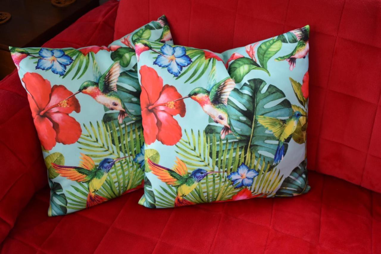 Hibiscus Bed & Breakfast Waihi Extérieur photo
